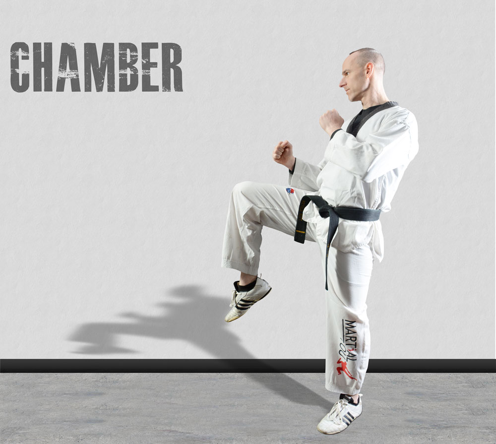 Chamber 1000
