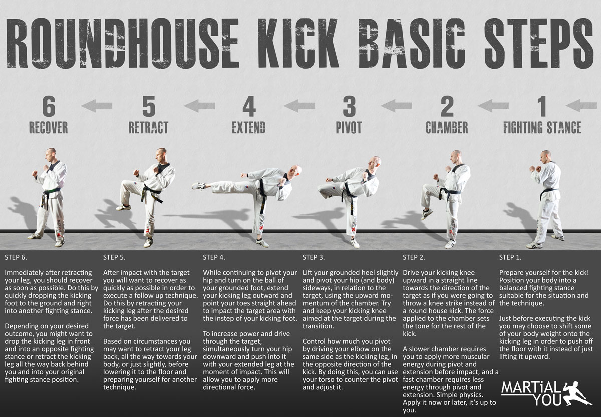 Roundhouse Kick Guide 1200x833