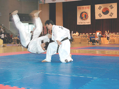 Hapkido-400x300