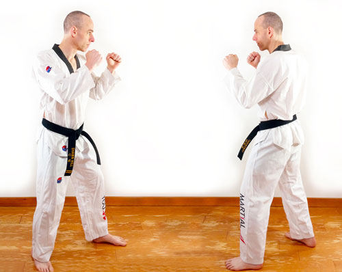 One Step Fighting Stance 500x398