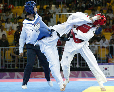 TaeKwonDo 400x321