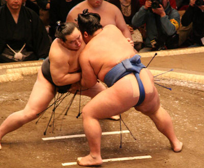 Sumo-400x329