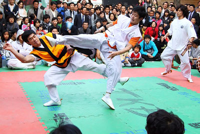 Taekkyeon-400x267