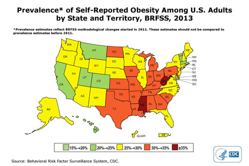 dnpao 2013 state obesity prevalence map 500x333